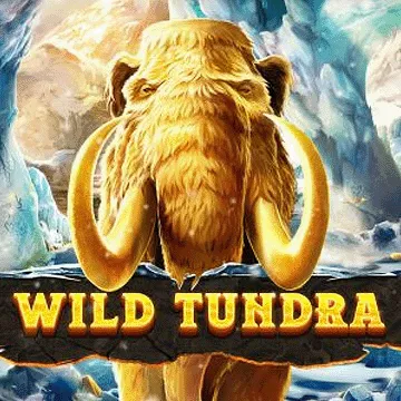 Wild Tundra DNT